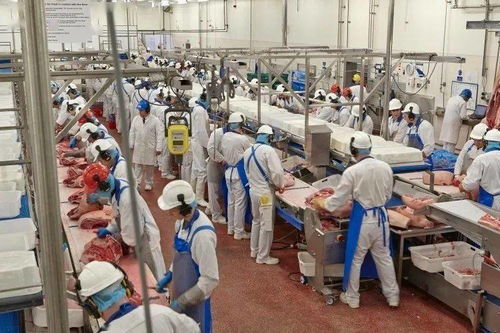 英國食品廠再現疫情，科學防護下肉類仍可安全食用