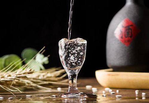 珍酒李渡赴港上市 白酒教父爭奪醬酒第二股，預(yù)包裝食品市場迎來新機(jī)遇